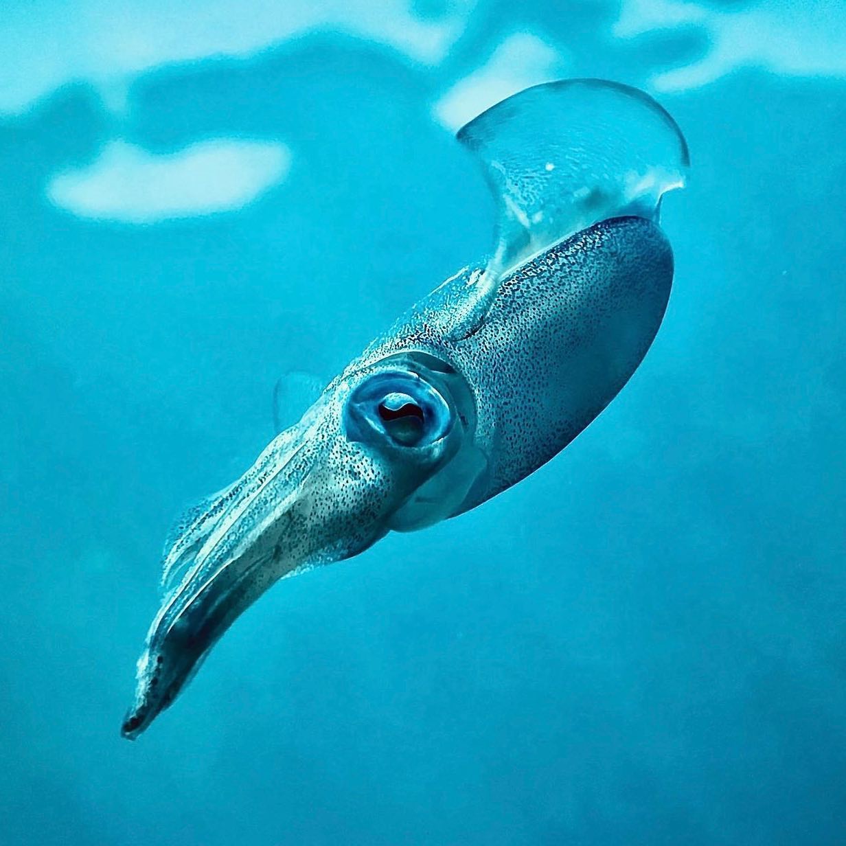 recommendation image