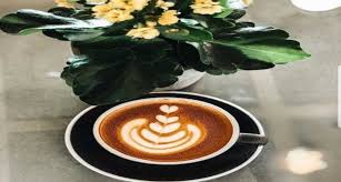 recommendation image