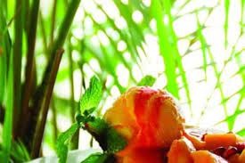 recommendation image