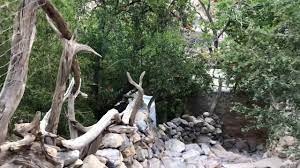 recommendation image