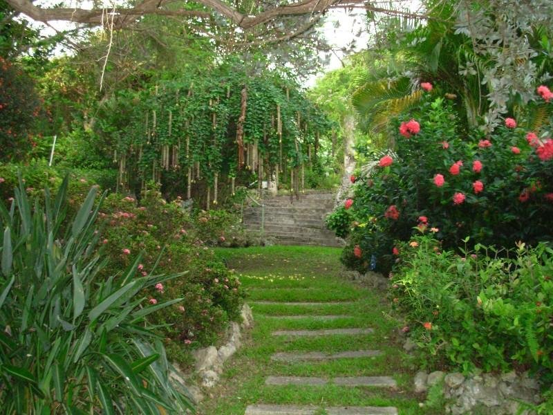 Andromeda Botanic Gardens
