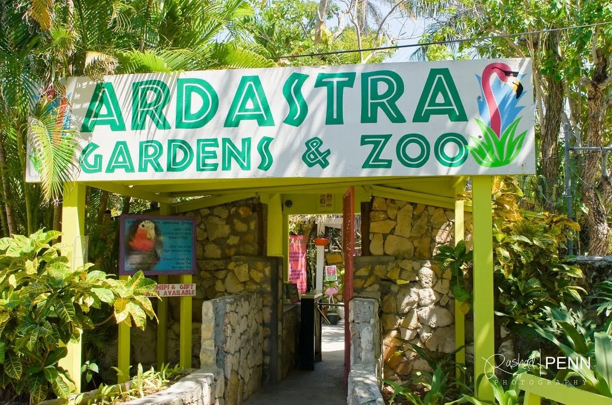 Ardastra Gardens & Zoo