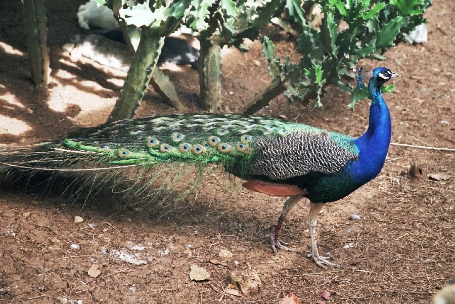 recommendation image