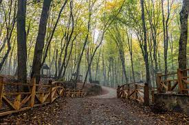 recommendation image