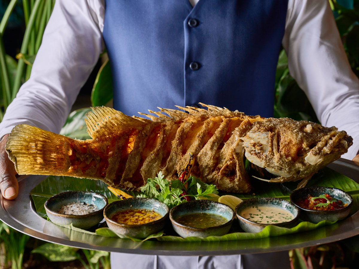 recommendation image