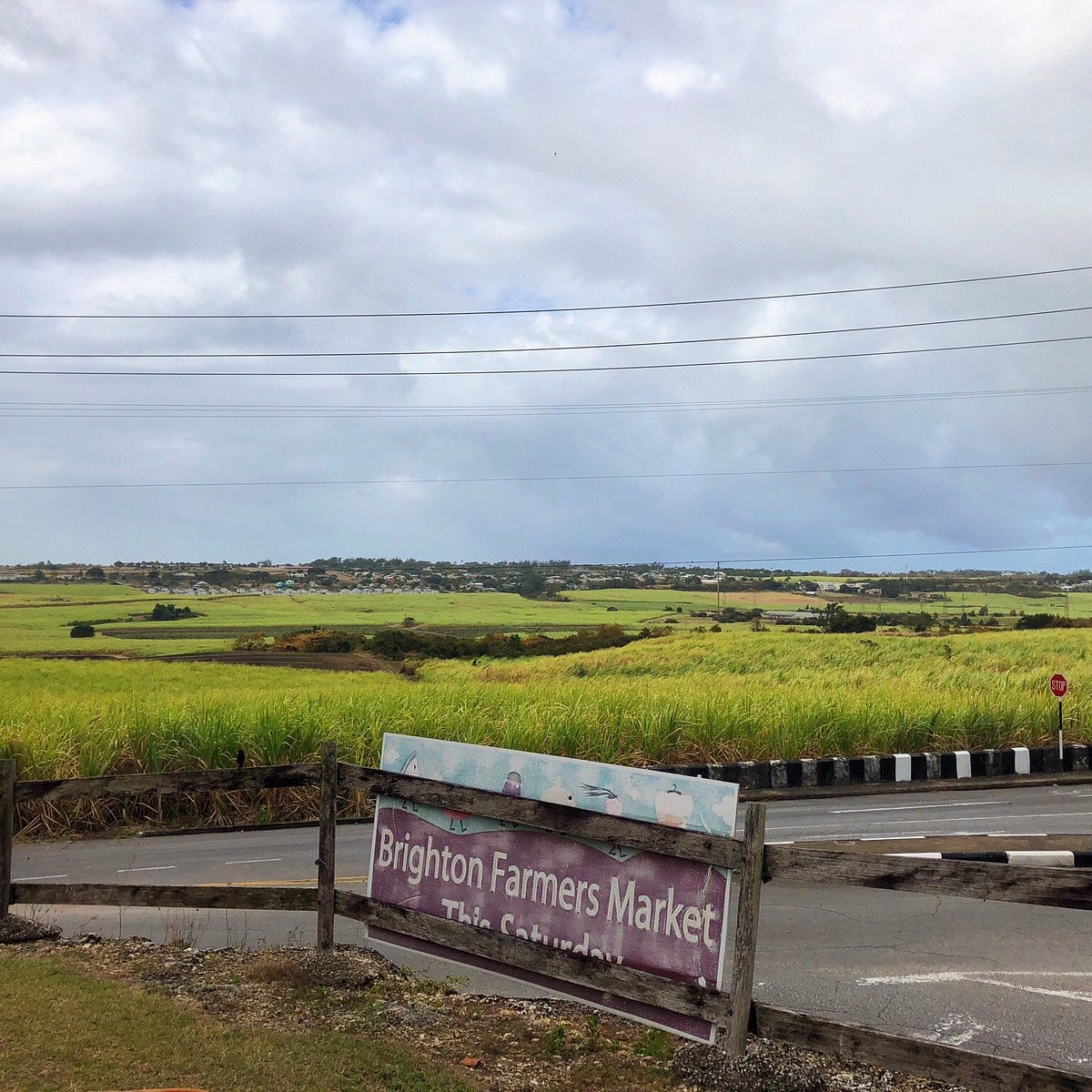 Brighton Farmers Market