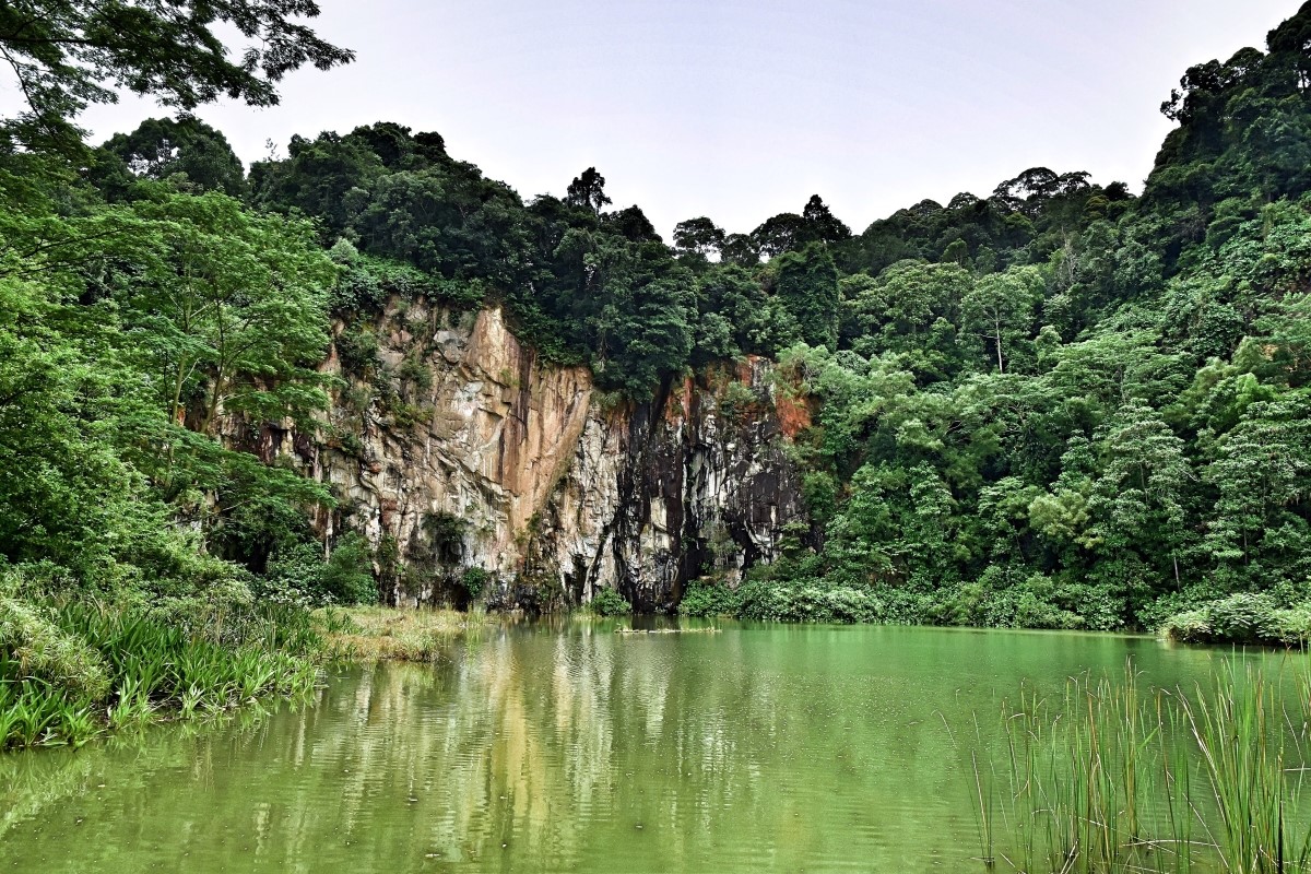 Bukit Timah Nature Reserve
