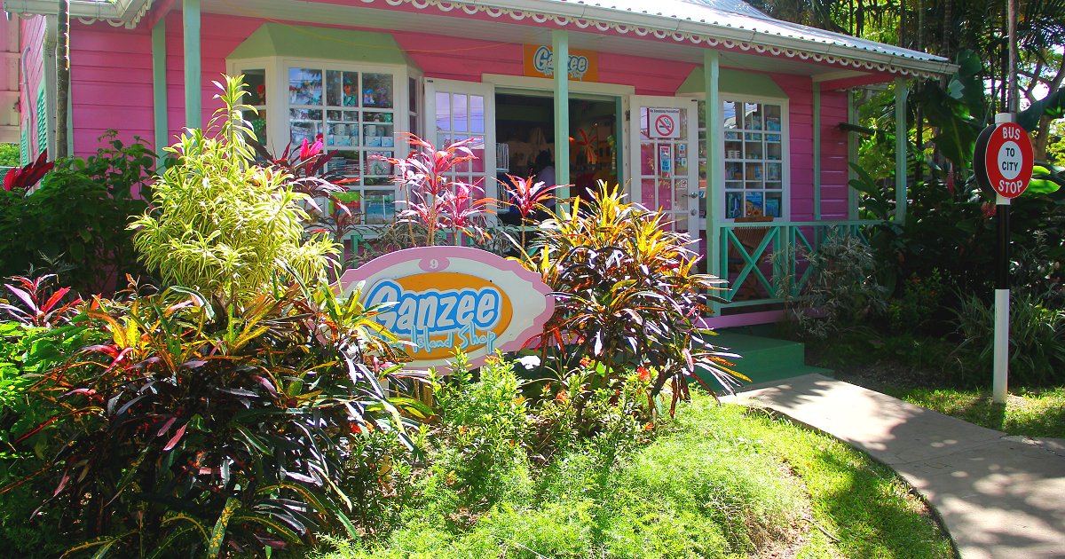 Chattel House Village