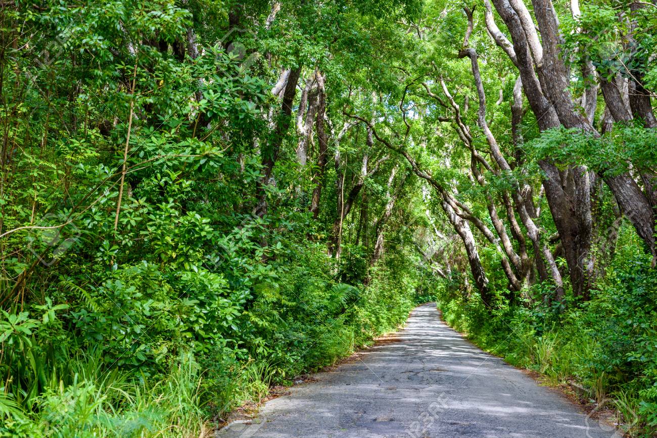 Cherry Tree Hill Reserve