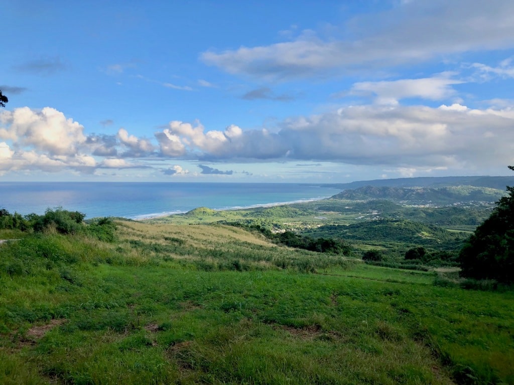 recommendation image