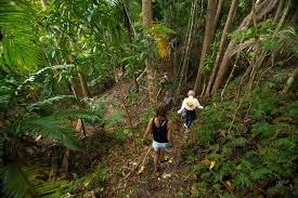 recommendation image