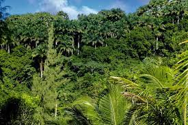 recommendation image