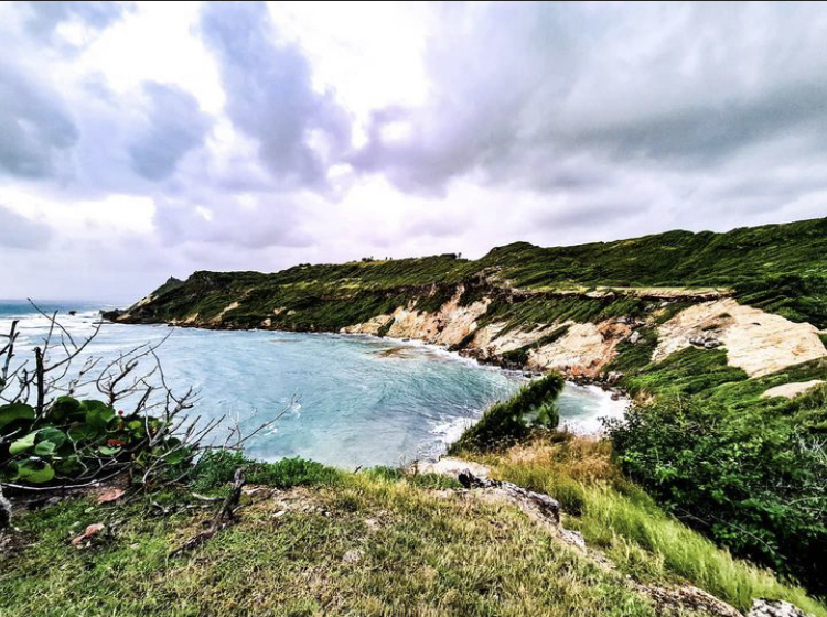 recommendation image