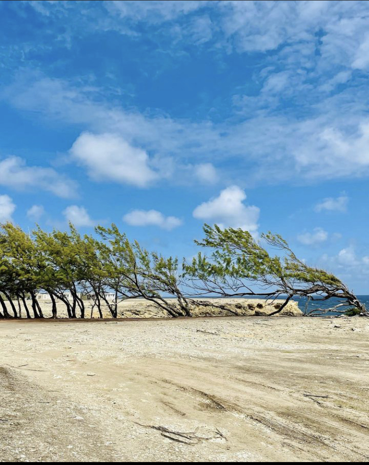 recommendation image