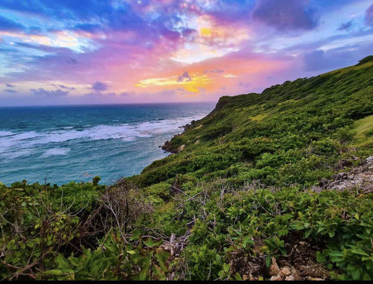 recommendation image