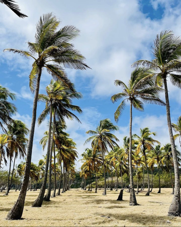 recommendation image