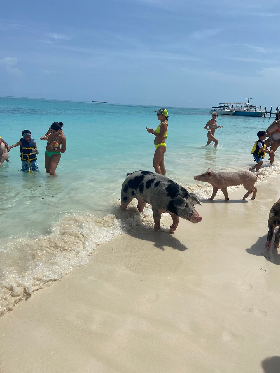 Da Pig Beach