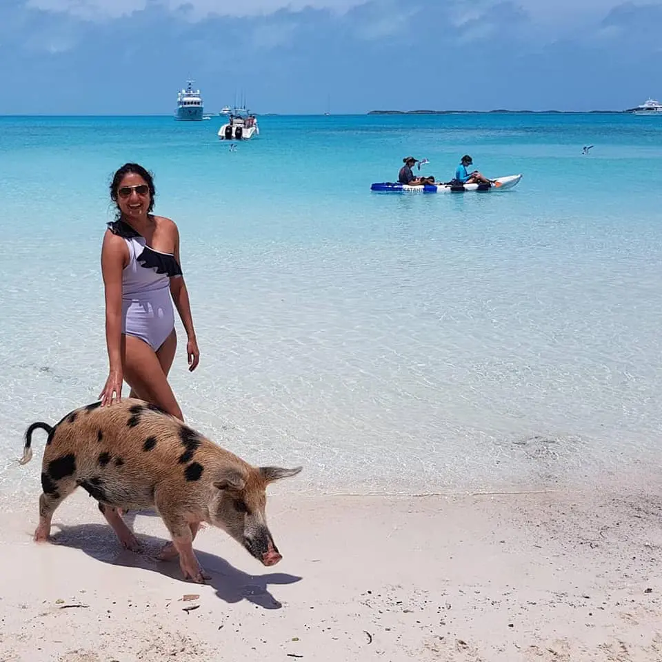 recommendation image