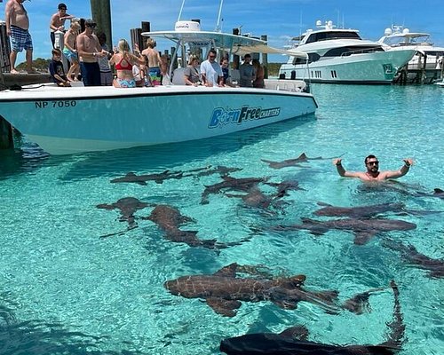 recommendation image