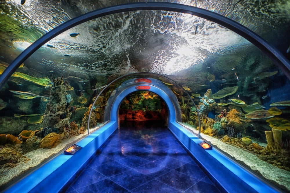 Fakieh Aquarium