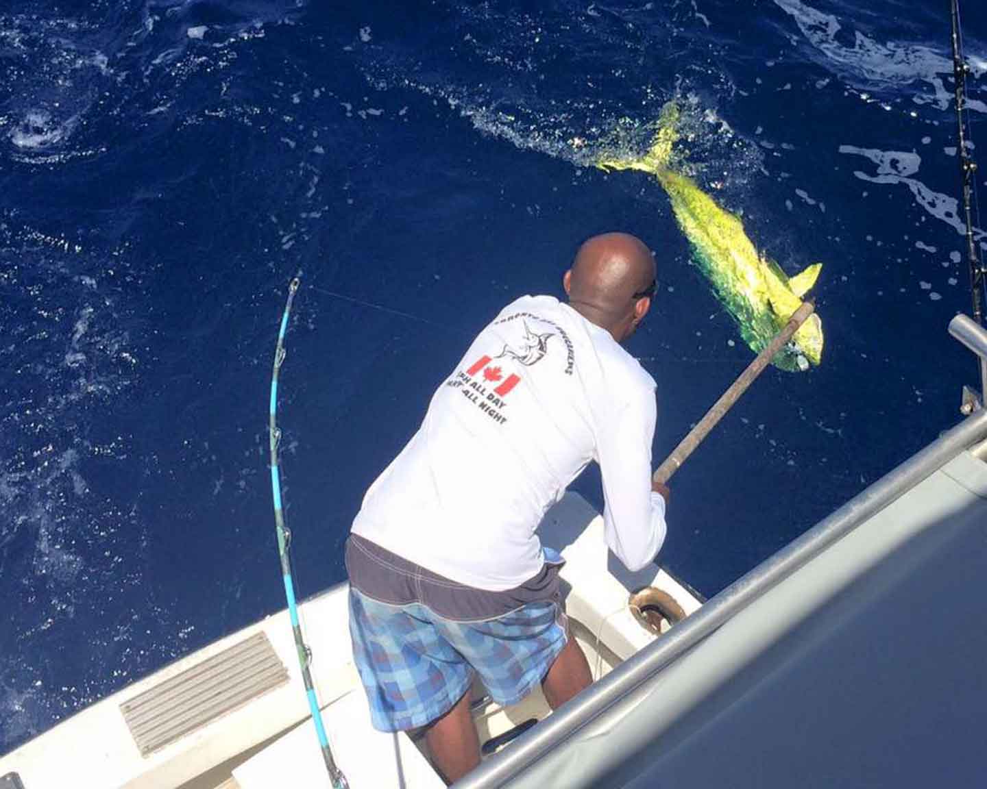 recommendation image