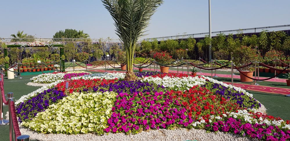 recommendation image