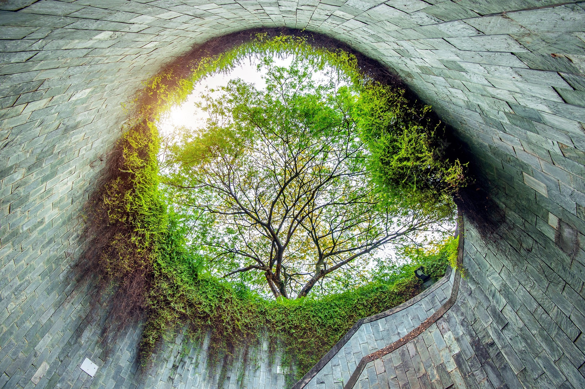 recommendation image