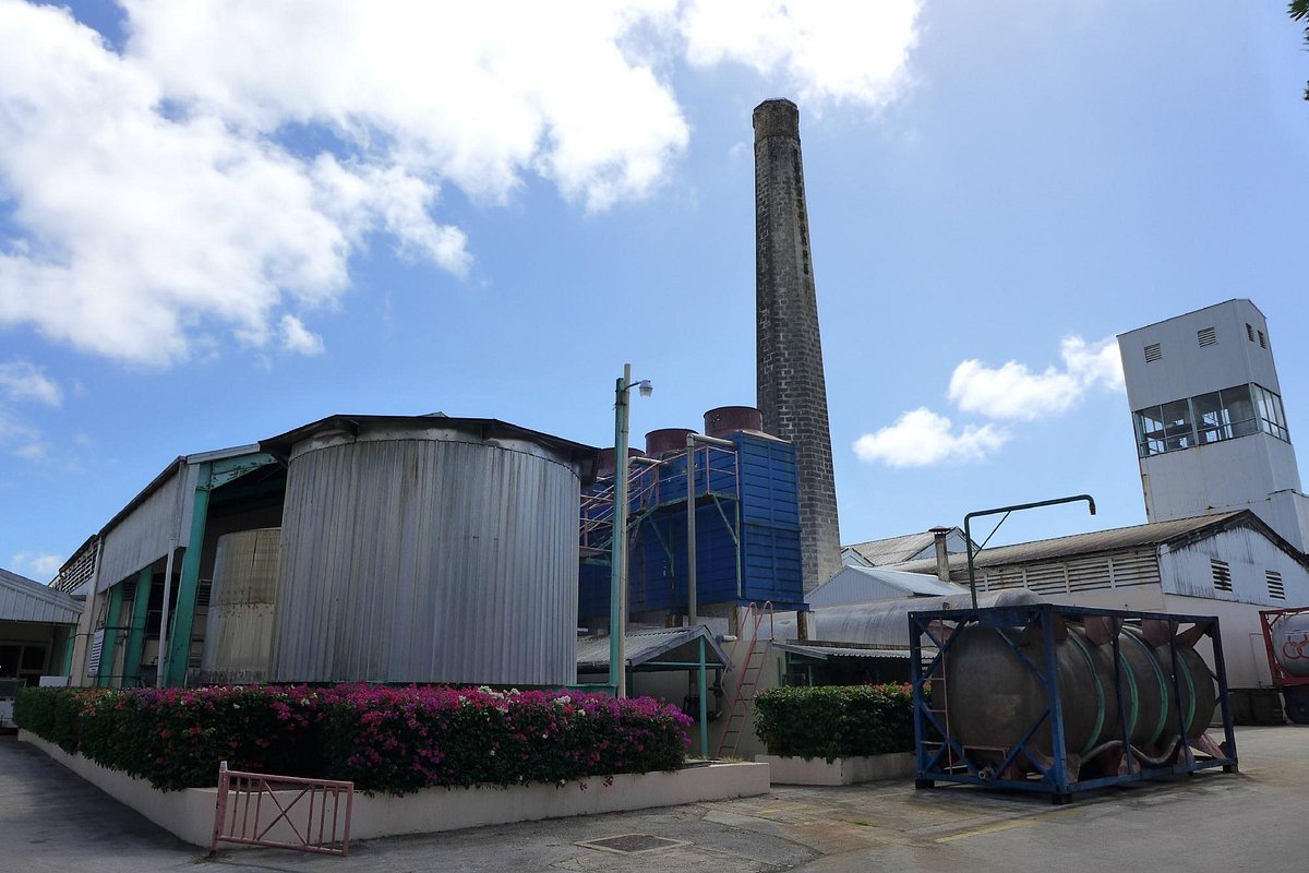 Foursquare Rum Distillery