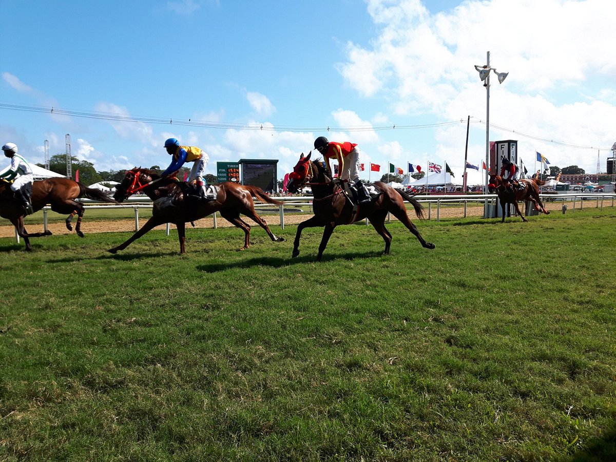 recommendation image