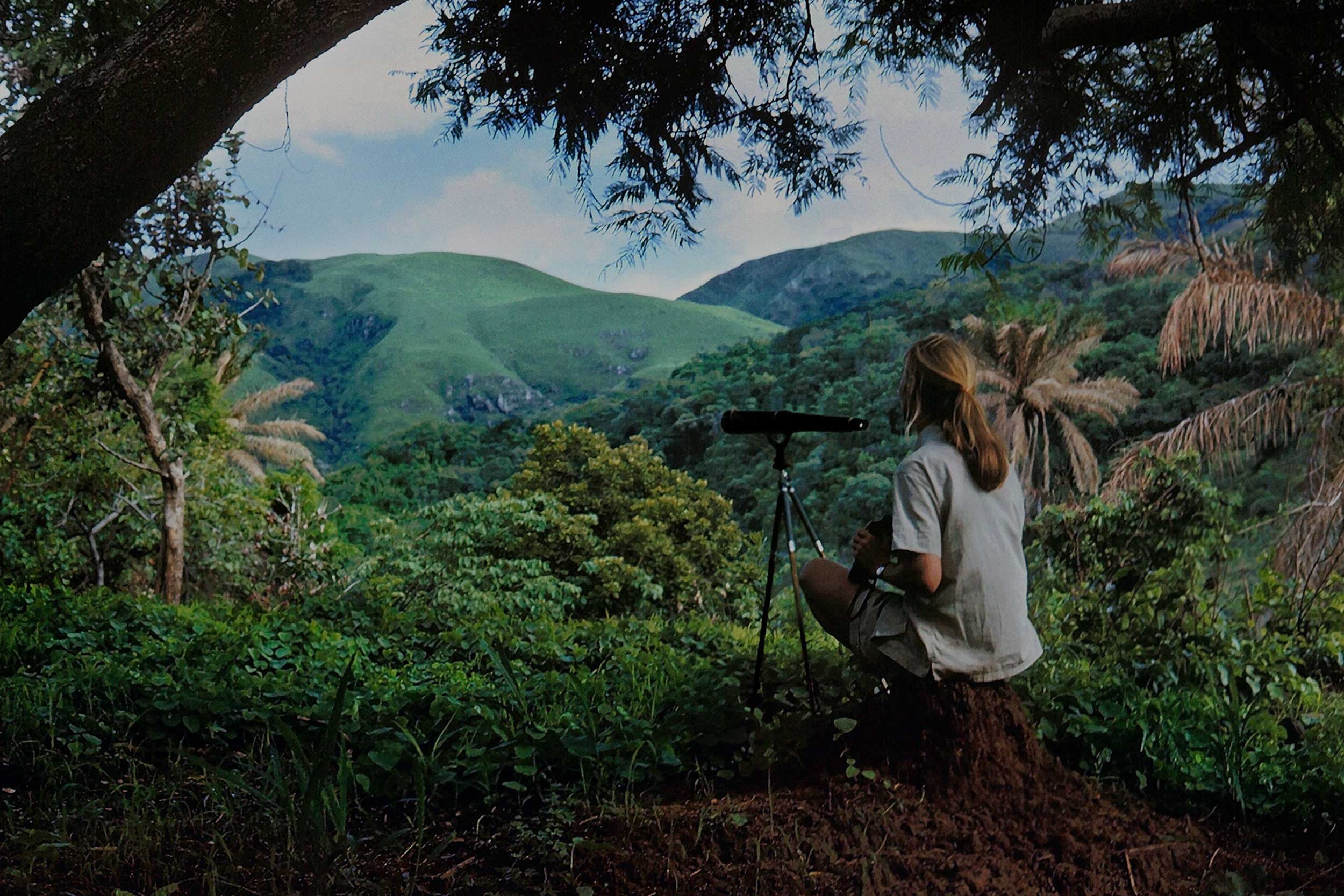 recommendation image