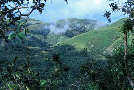 recommendation image