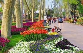 recommendation image