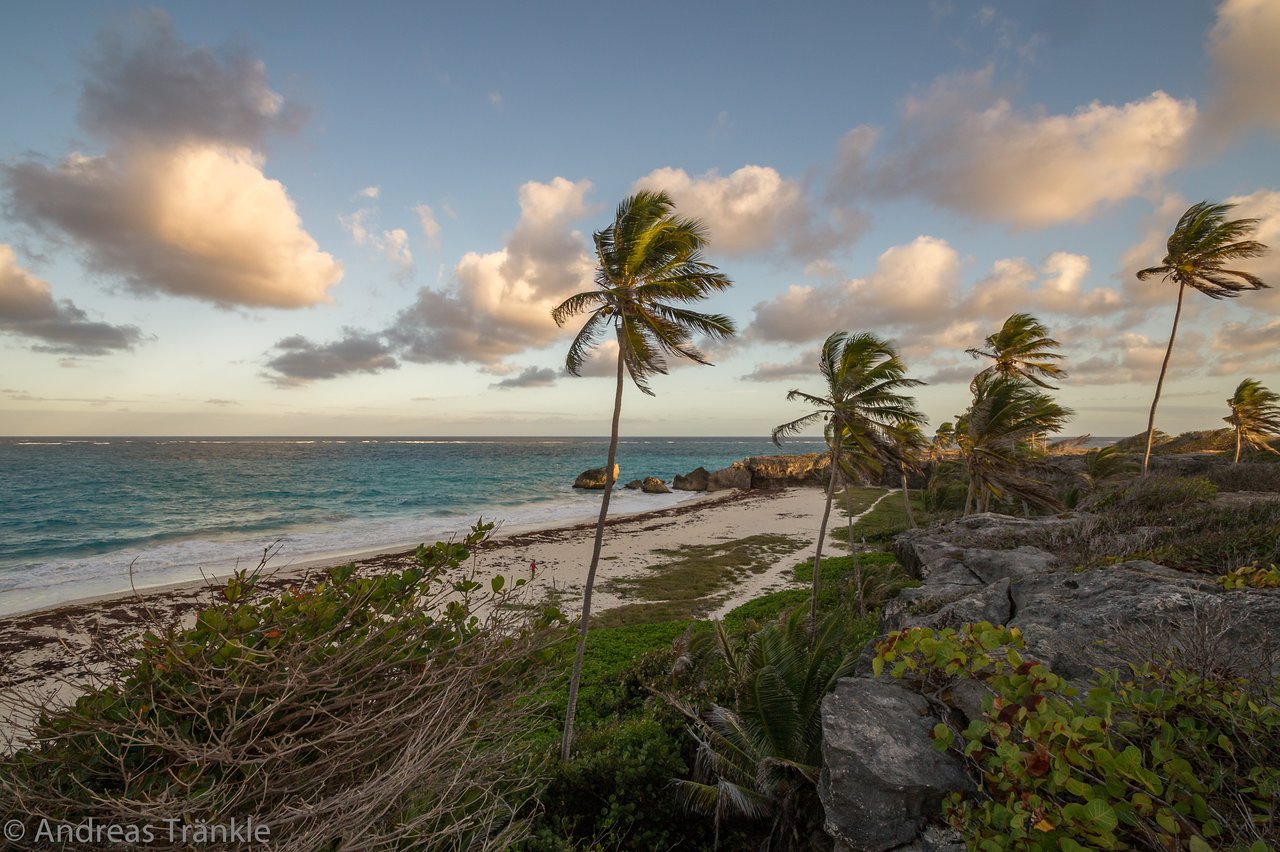 recommendation image