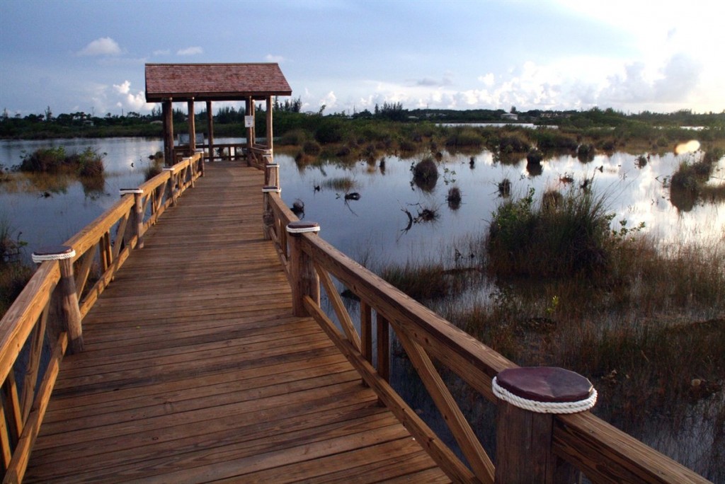 Harrold & Wilson Ponds National Park