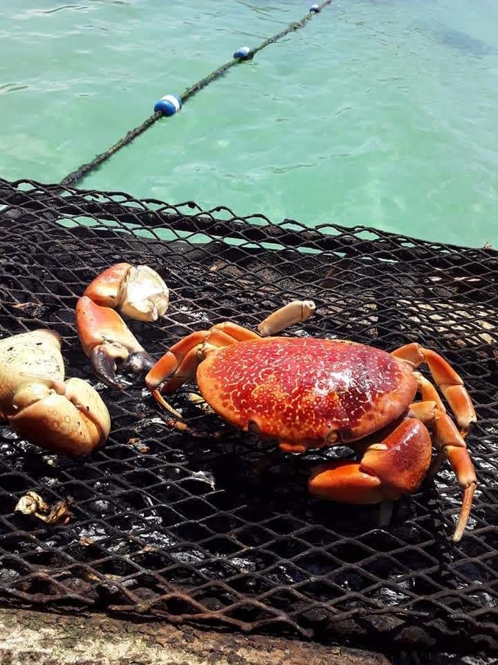 recommendation image