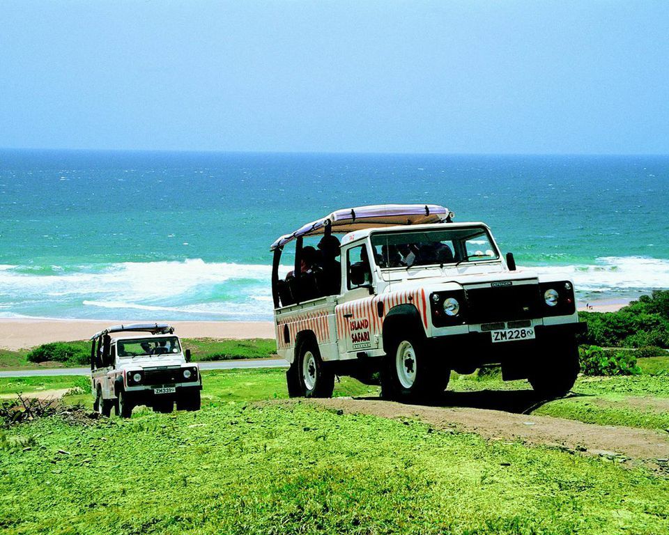 Island Safari
