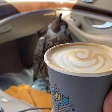 recommendation image