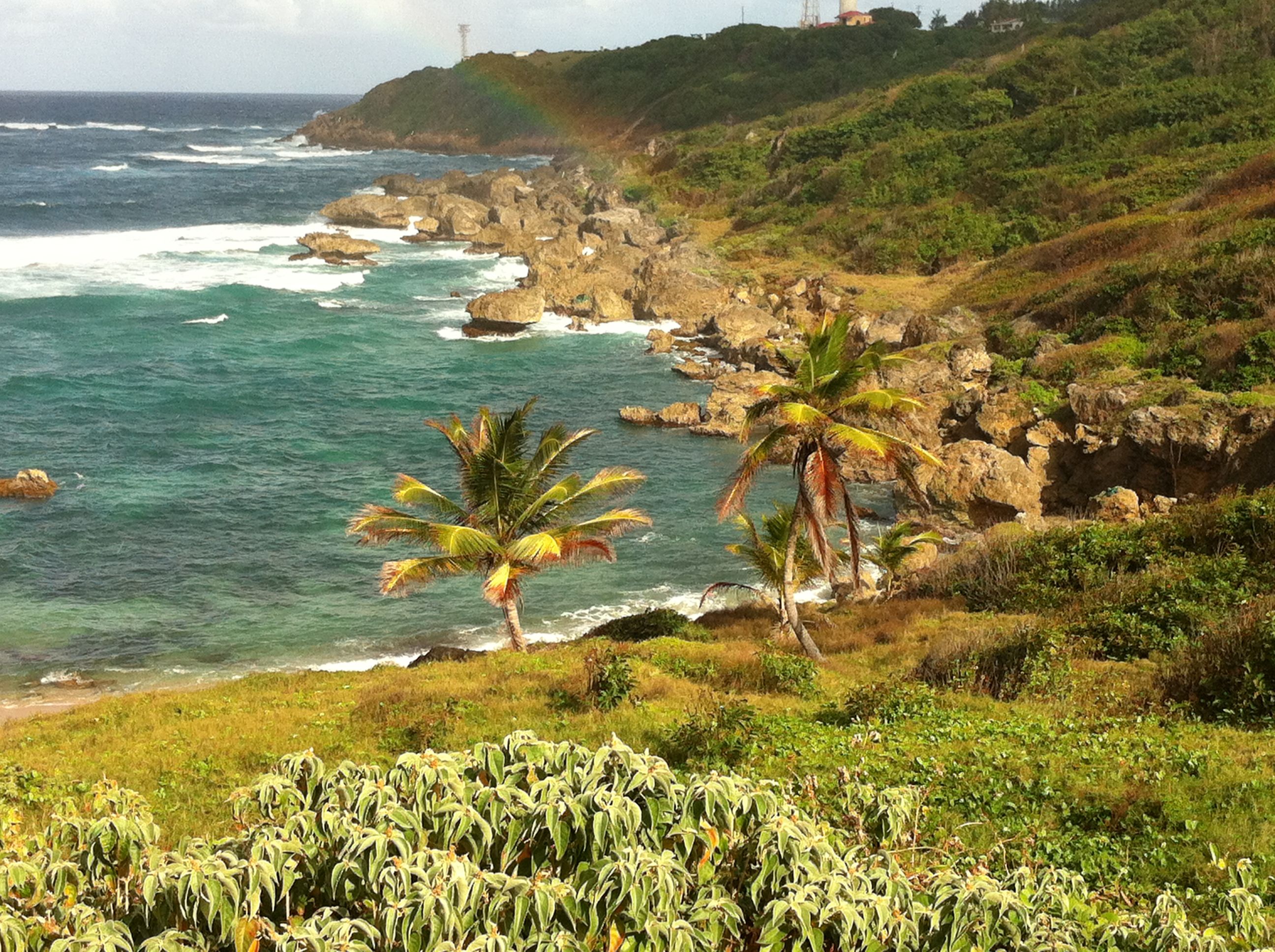 Lookout Point East Coast