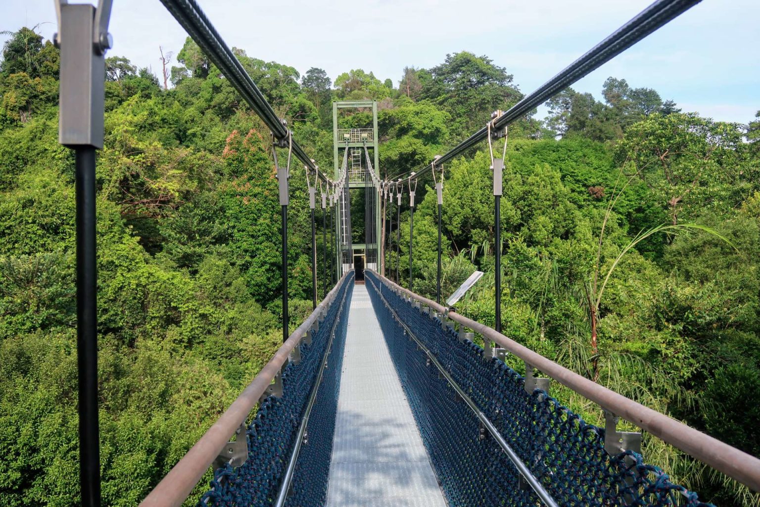 Macritchie Treetop Walk Trailhead