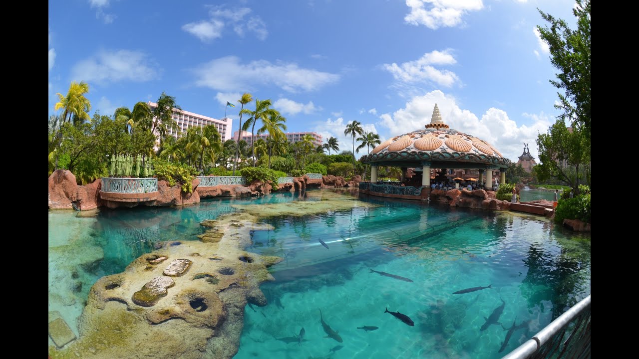 Marine Habitat at Atlantis
