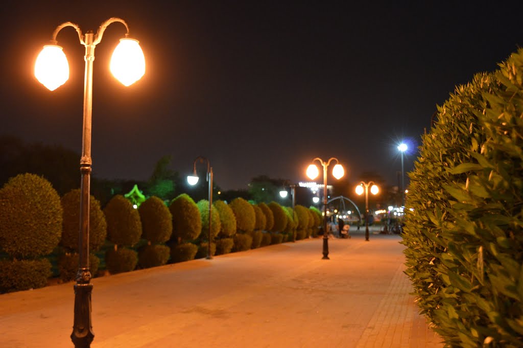 Muhammad Ibn Al Qassim Park