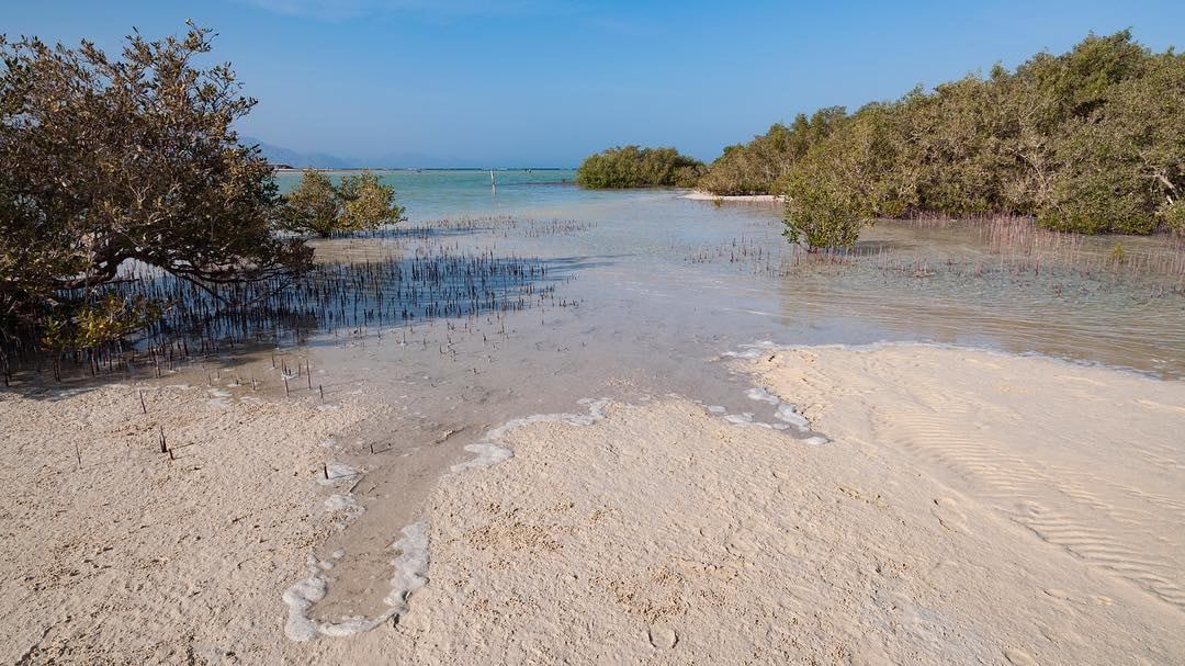 Nabq Nature Reserve