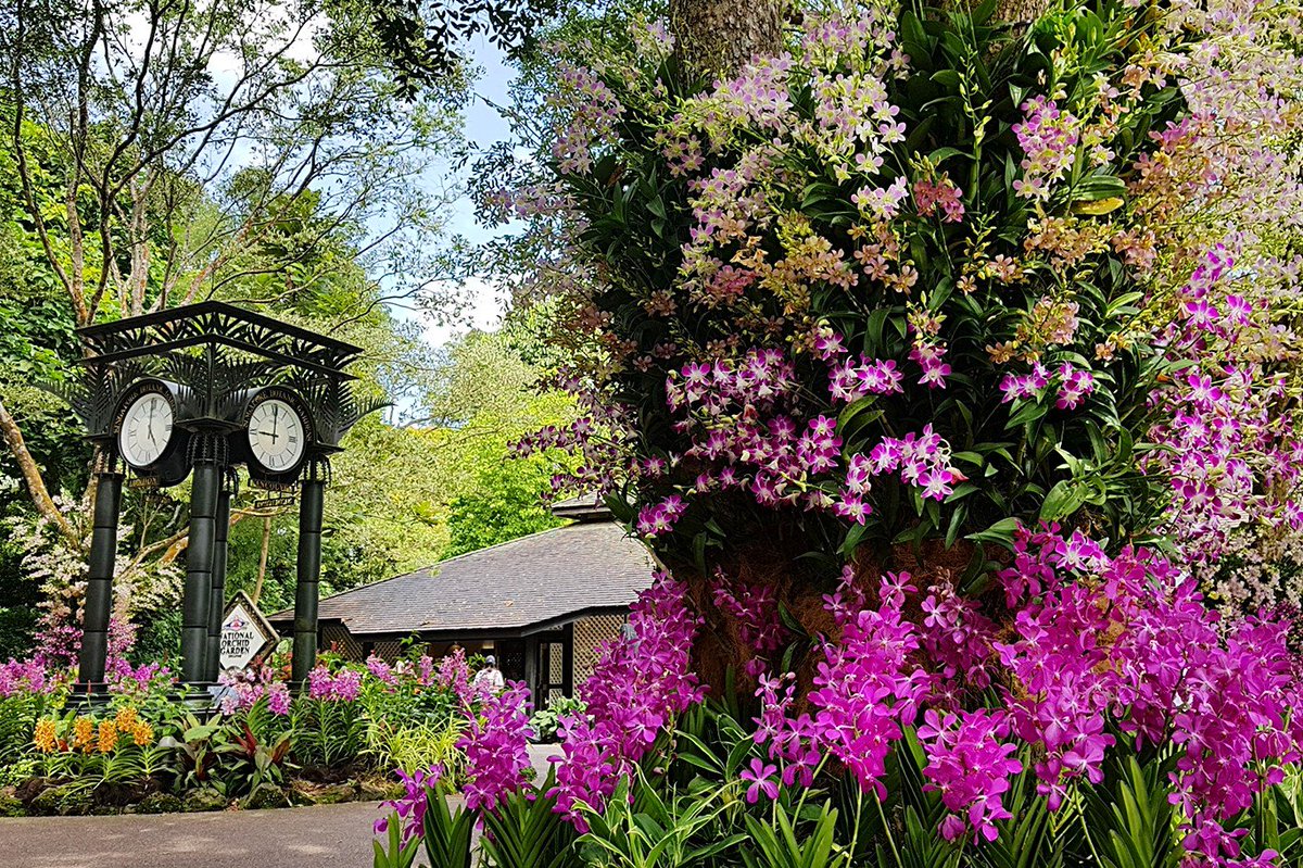 National Parks Board