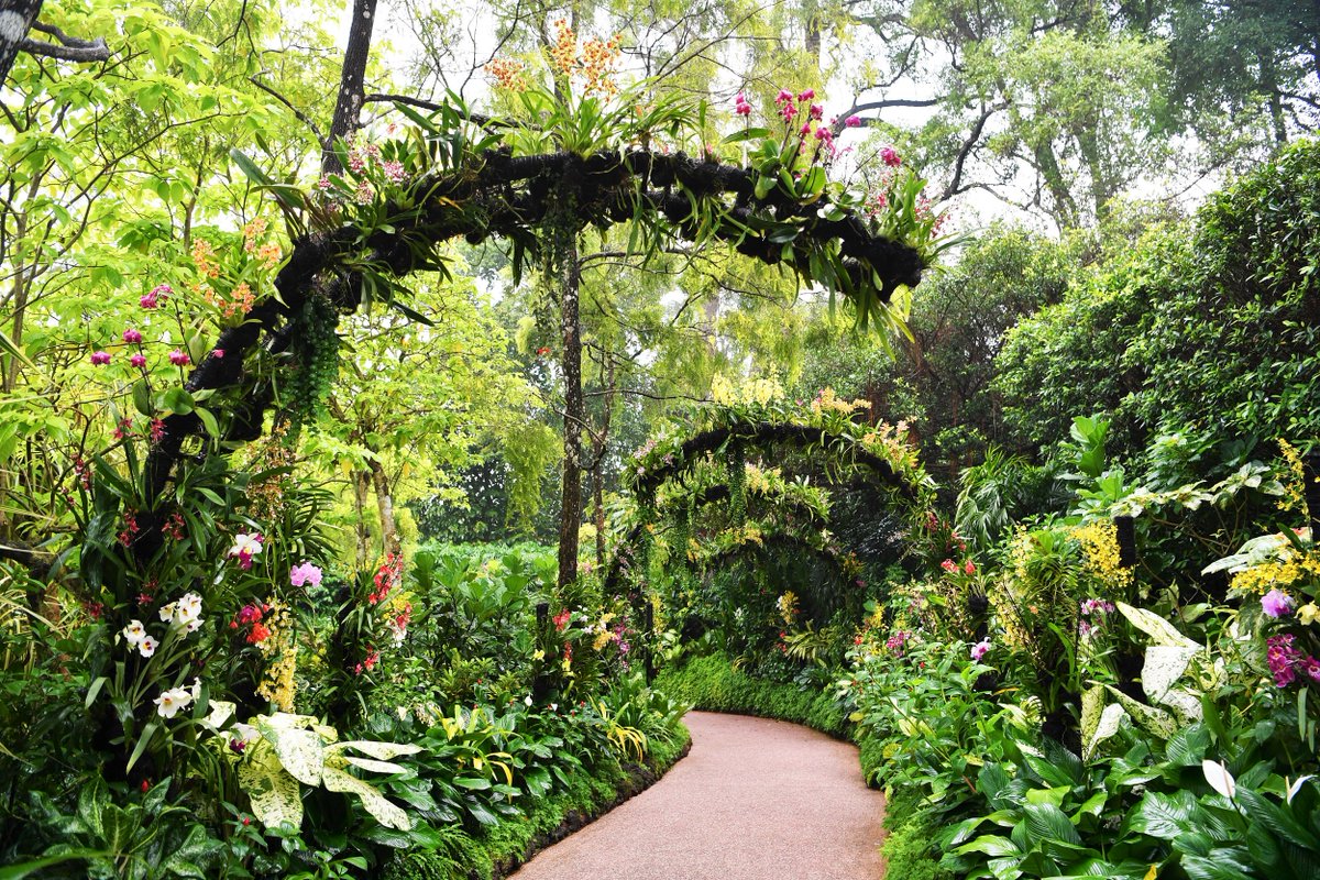 recommendation image