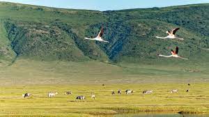 recommendation image