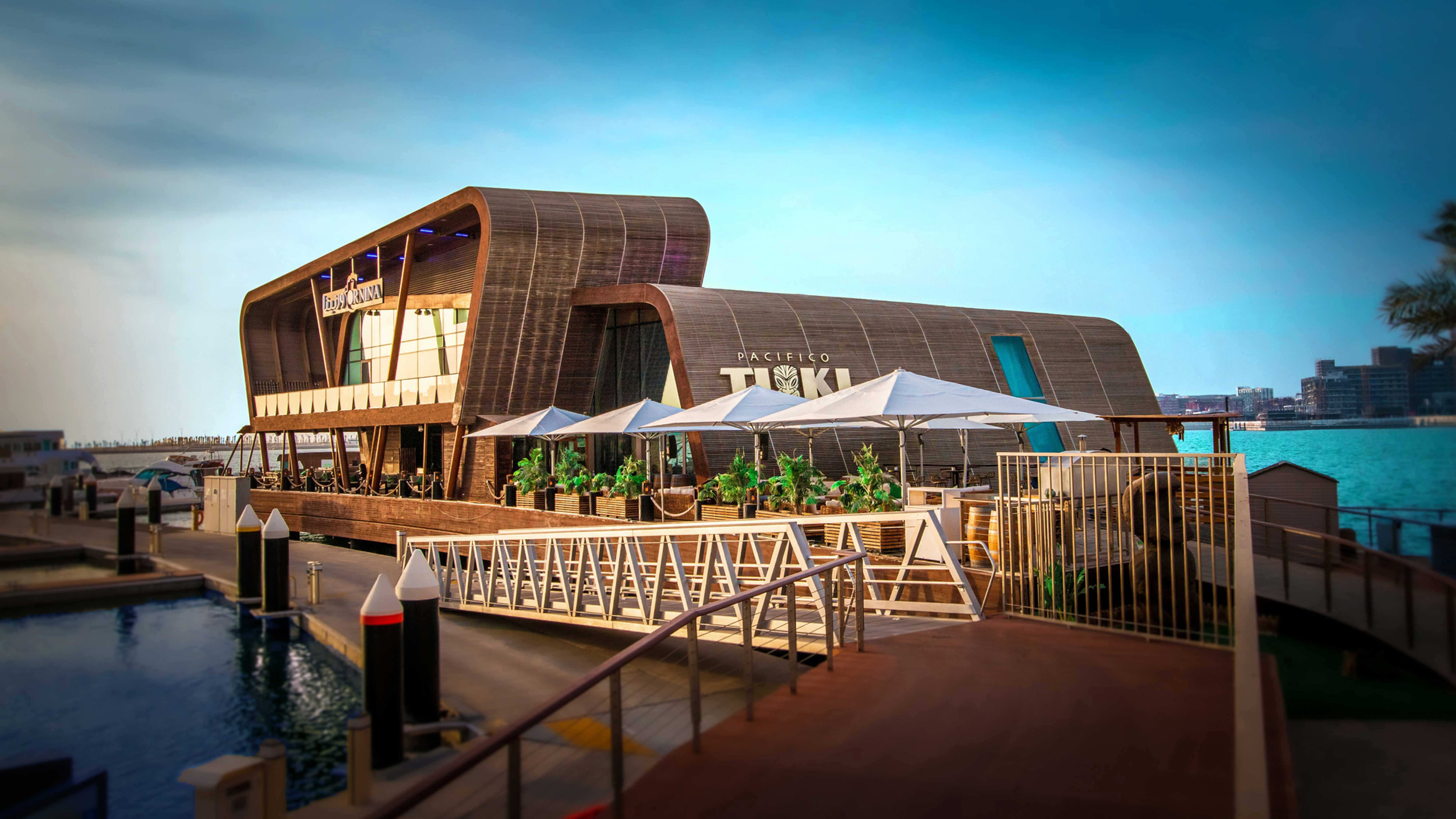 Pacifico TIKI