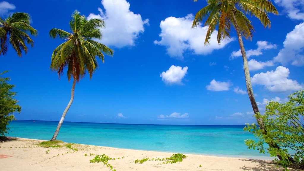 recommendation image