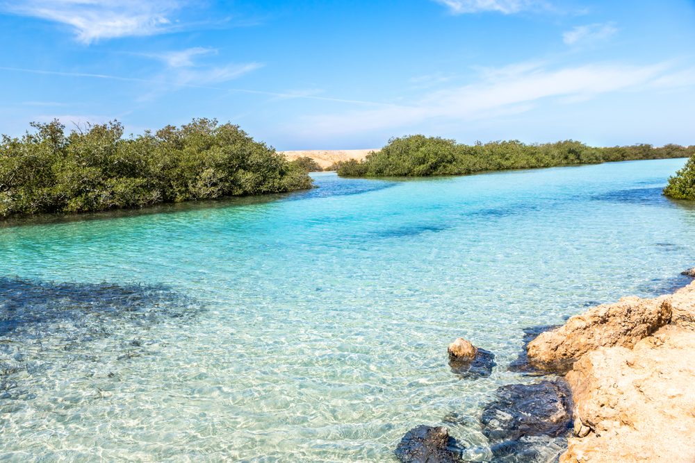 Ras Mohamed Nature Reserve