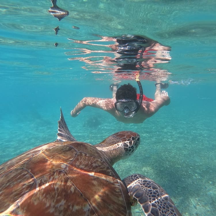 recommendation image