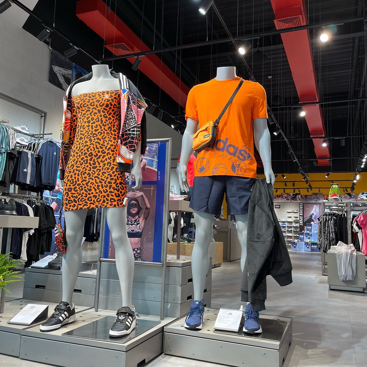 recommendation image